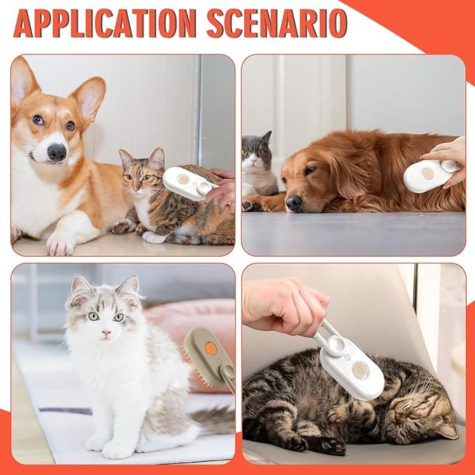 7646