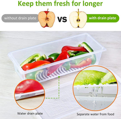 2 Partition Fridge Organizer with Removable Drain Plate and Lid